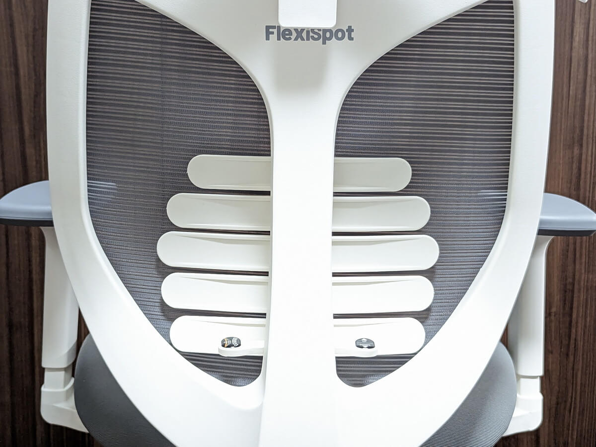 FlexiSpot V6 脊椎サポートフレーム